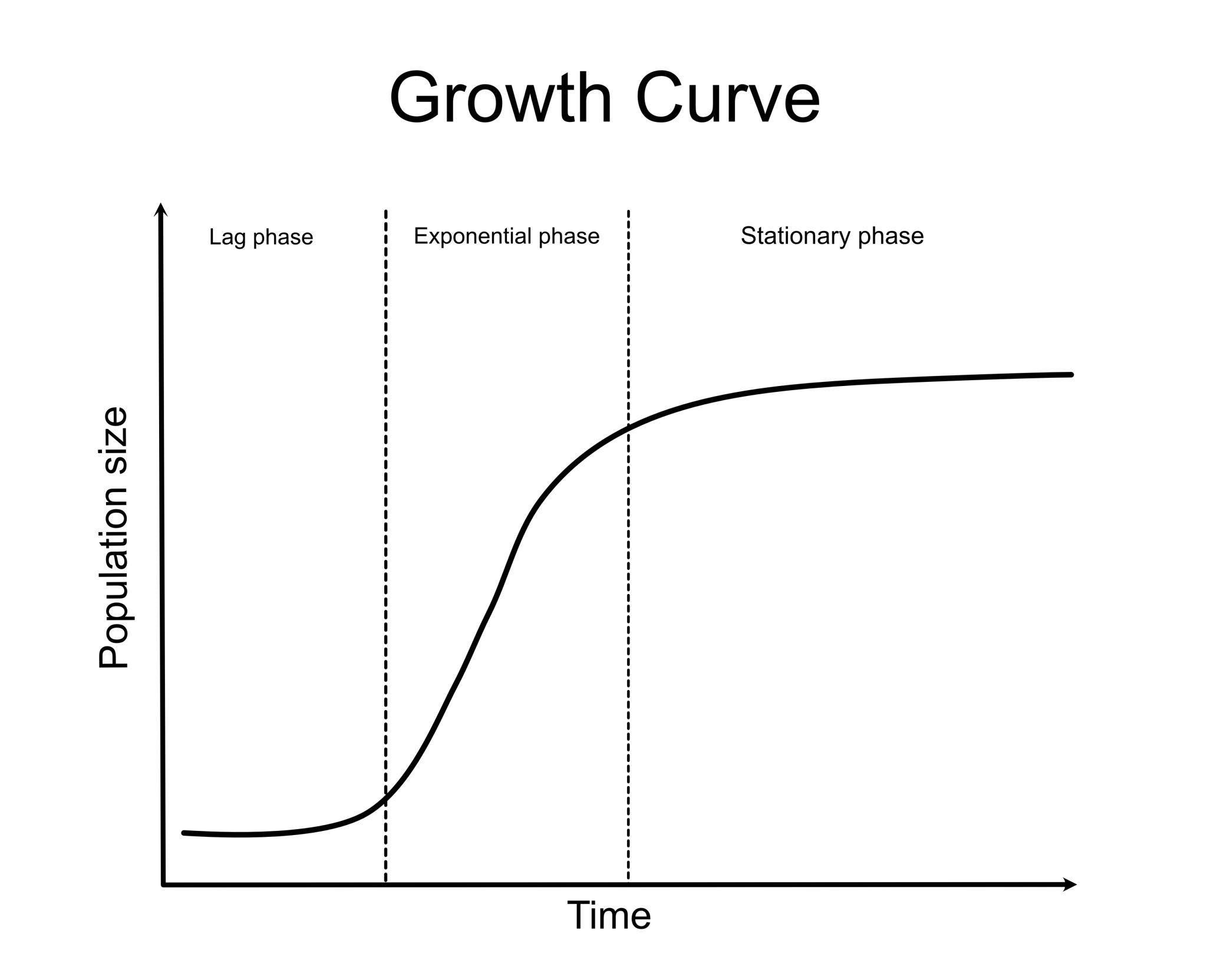 spaced repetition curve, AI generated